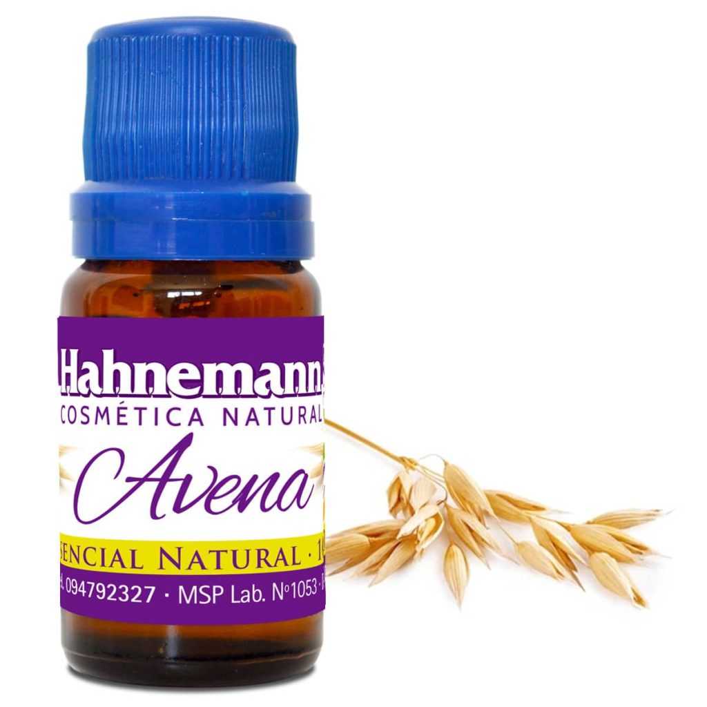 AVENA.jpg