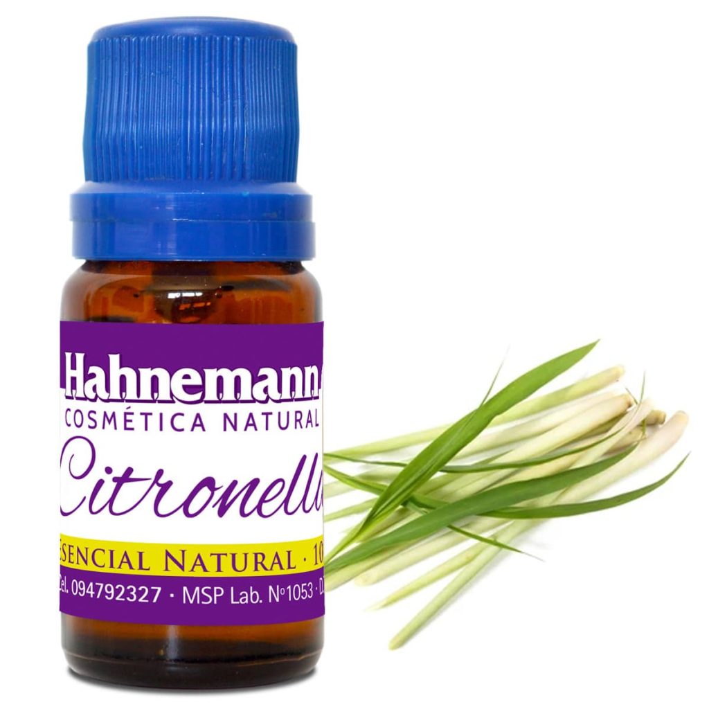 CITRONELLA.jpg