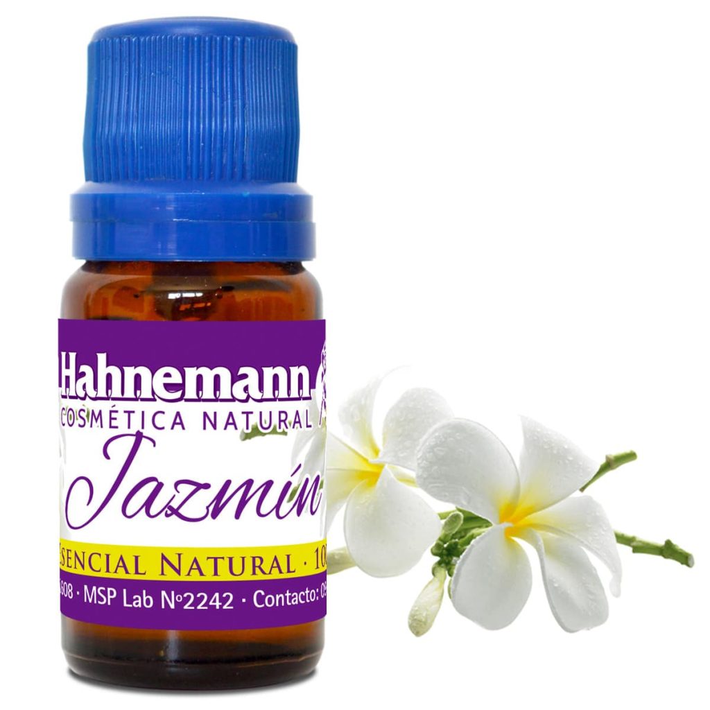 JAZMIN.jpg