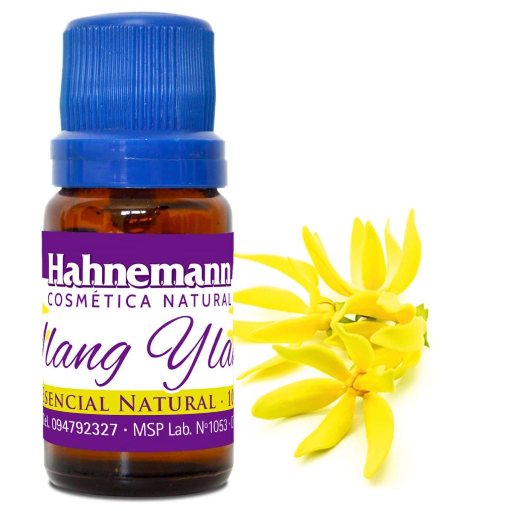YLANG.jpg